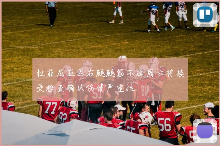 拉菲尼亚因右腿腿筋不适周六将接受检查确认伤情严重性